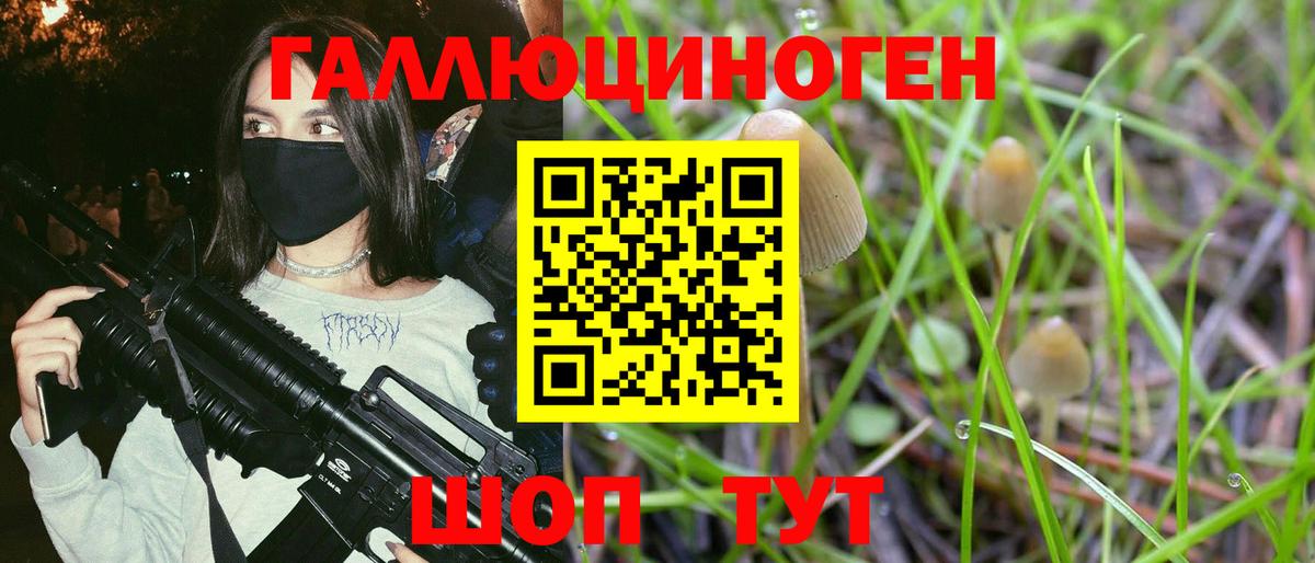 Псилоцибиновые грибы Cubensis  Галлюциногенные грибы Psilocybe  Егорьевск  Вход с VPN 