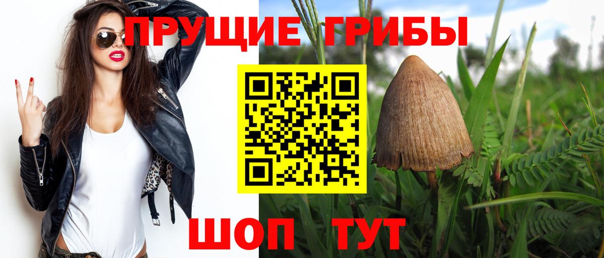 Галлюциногенные грибы Psilocybine cubensis Егорьевск